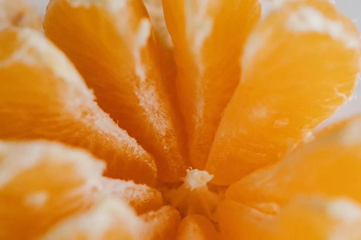 البرتقال غني بالفيتامين سي