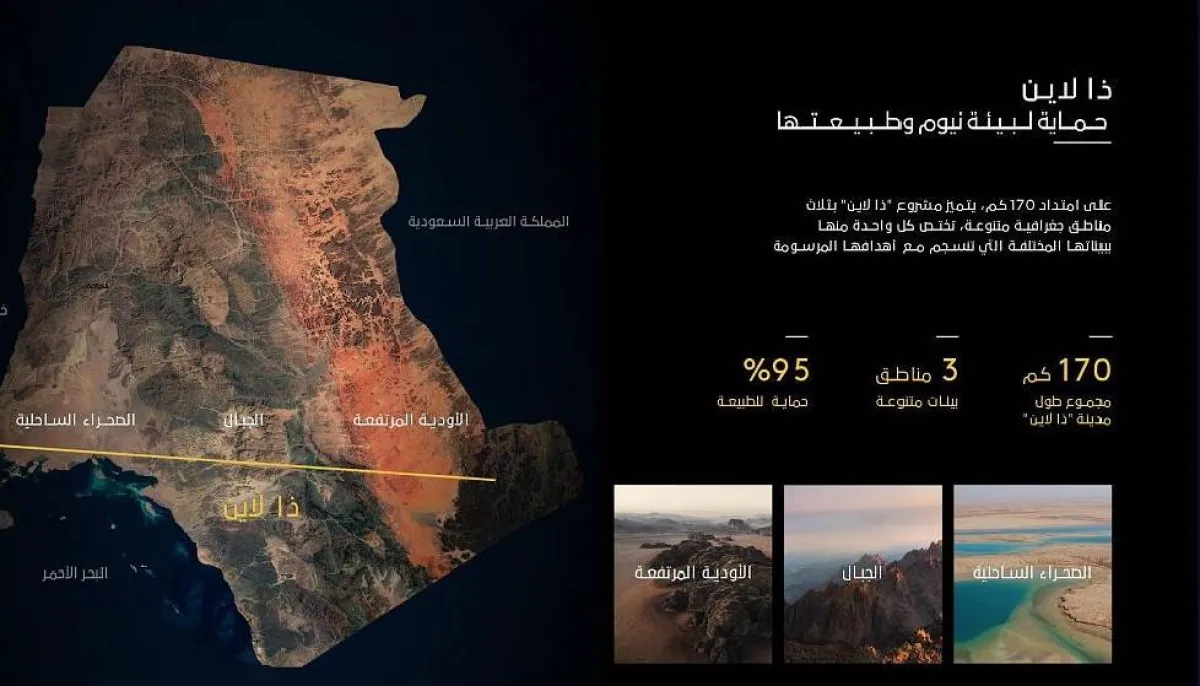 مدينة ذا لاين