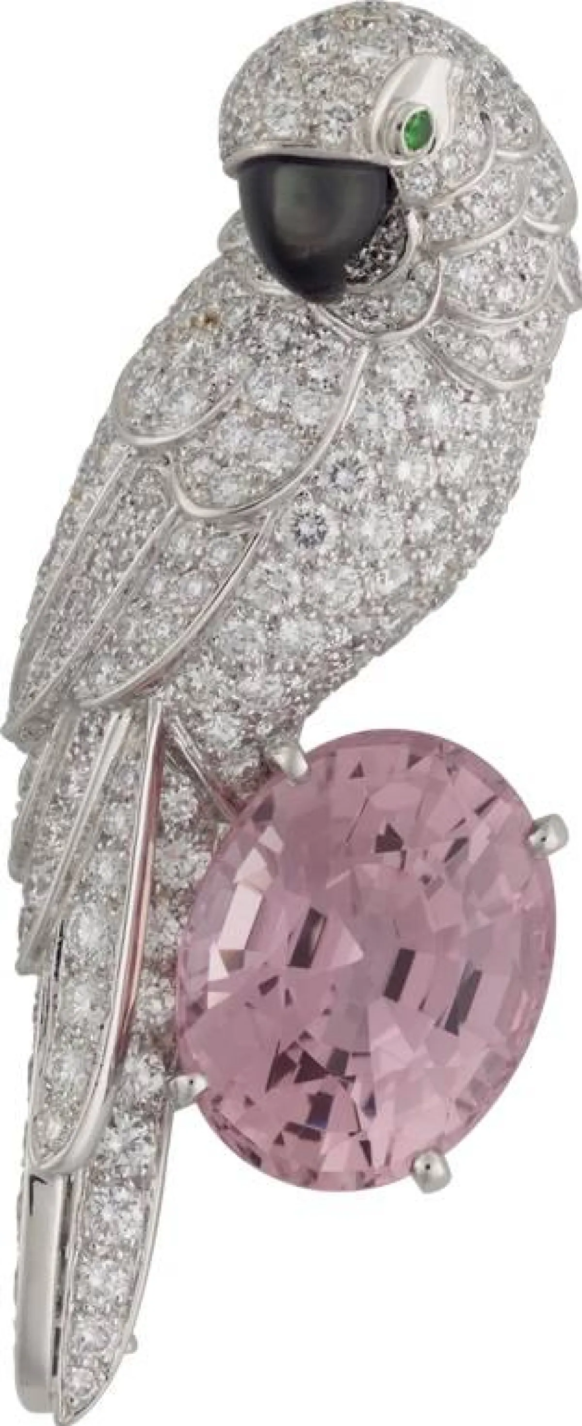 بروش Fauna and Flora من كارتييه Cartier