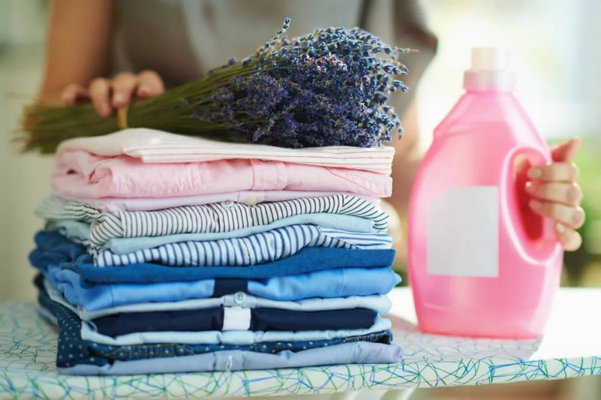 دليل تنظيف الملابس