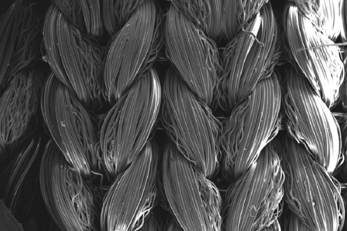 صورة منسوجات ذكية