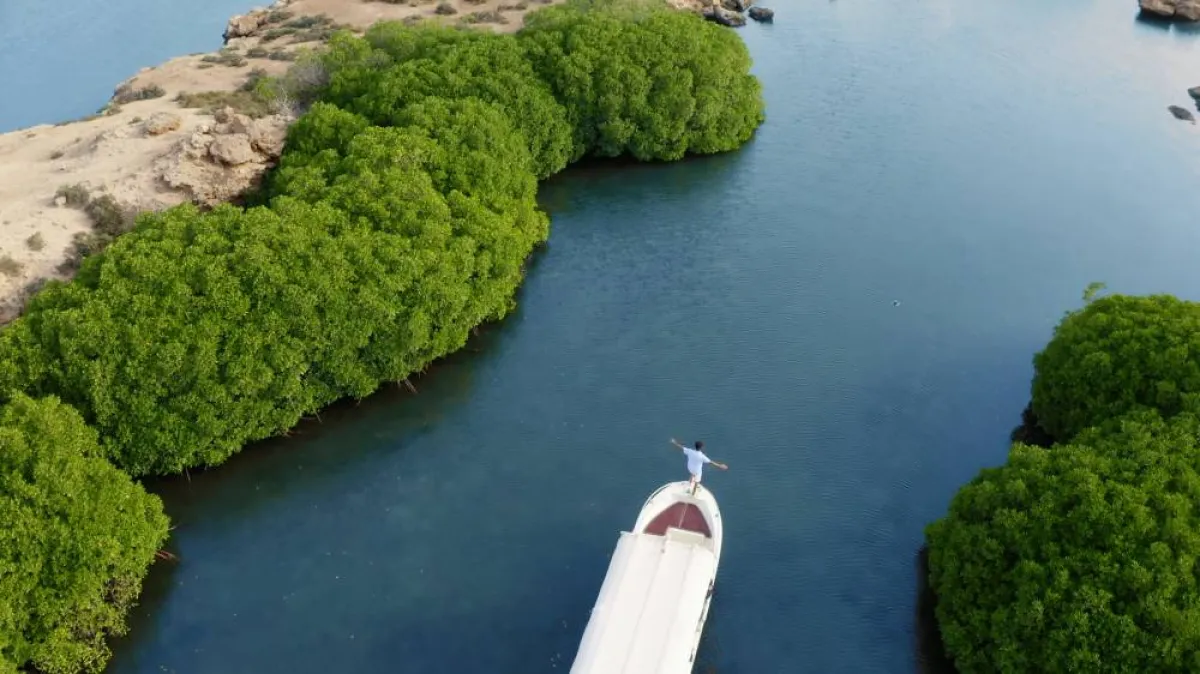 رحلة عبر الطبيعة الساحرة في جزر فرسان - الصورة من واس