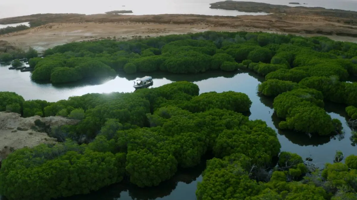 جزر فرسان - الصورة من واس