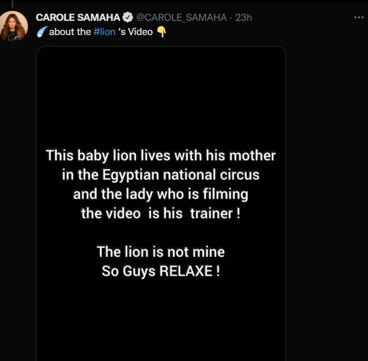 بيان كارول سماحة حول هدية يوم ميلادها أسد صغير