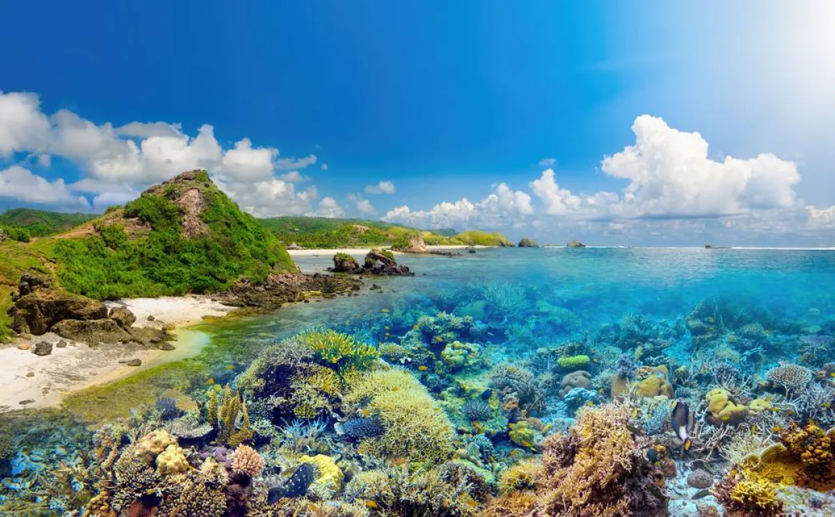 متعة الغوص في جزيرة لومبوك