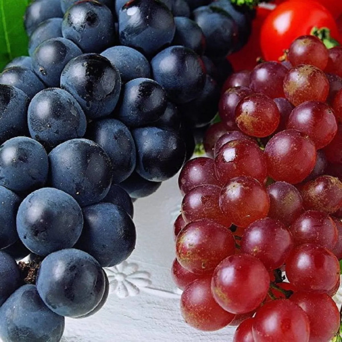 صورة لنوعين من أنواع العنب
