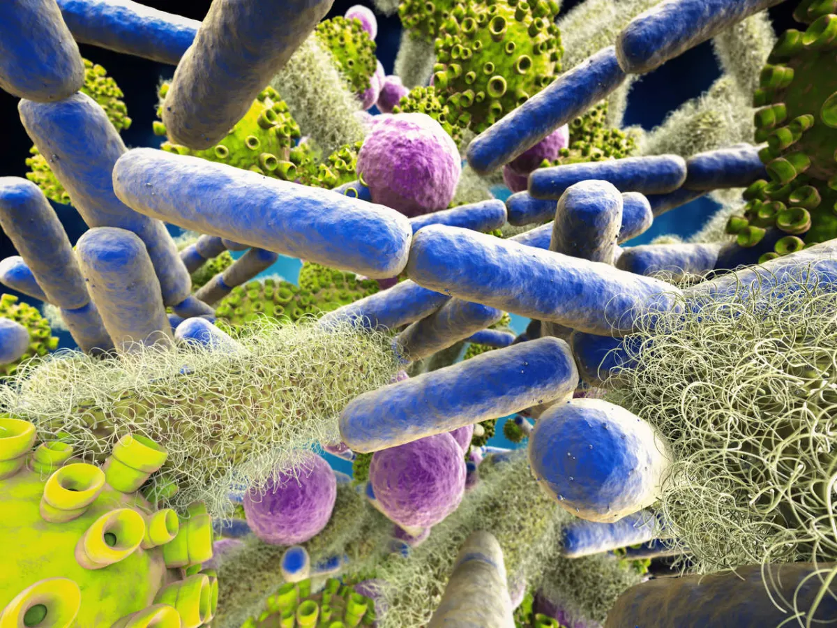 صورة لفيروسات