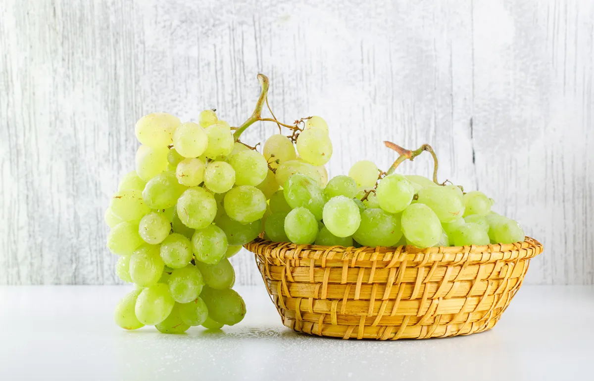 فوائد العنب الأخضر في مكافحة الشيخوخة