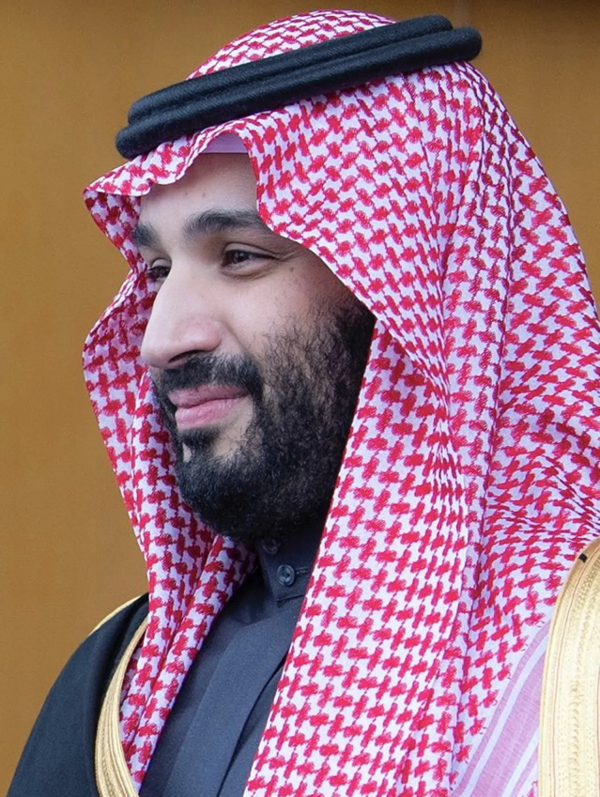 الأمير محمد بن سلمان بن عبدالعزيز آل سعود - مصدر الصورة حساب "بندر الجلعود" على تويتر