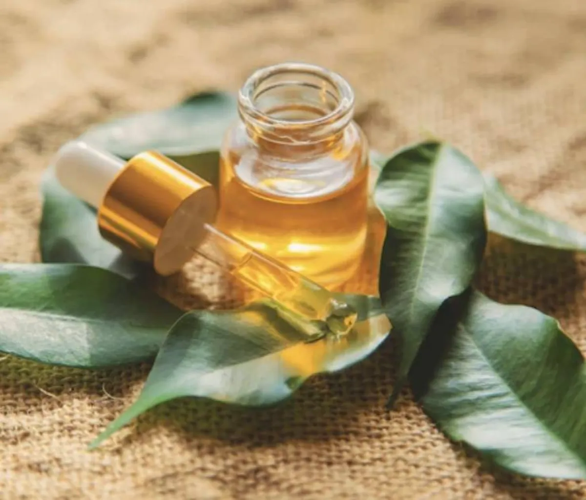 زيت شجرة الشاي لندبات حب الشباب