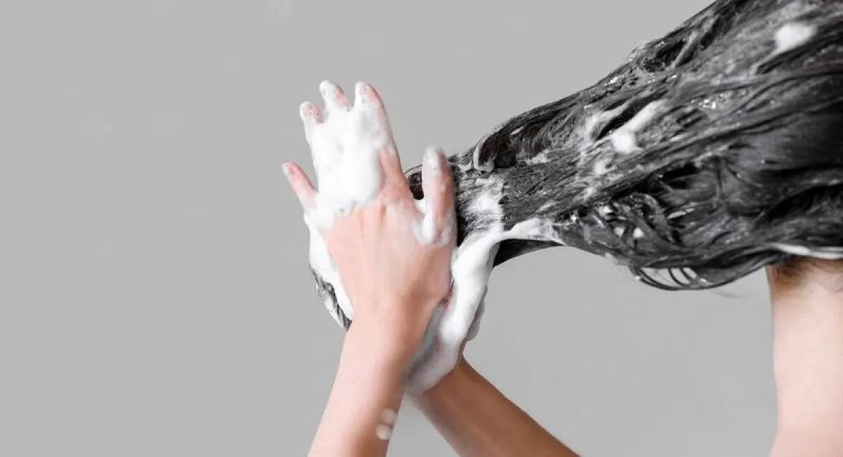 شامبو صبغ الشعر