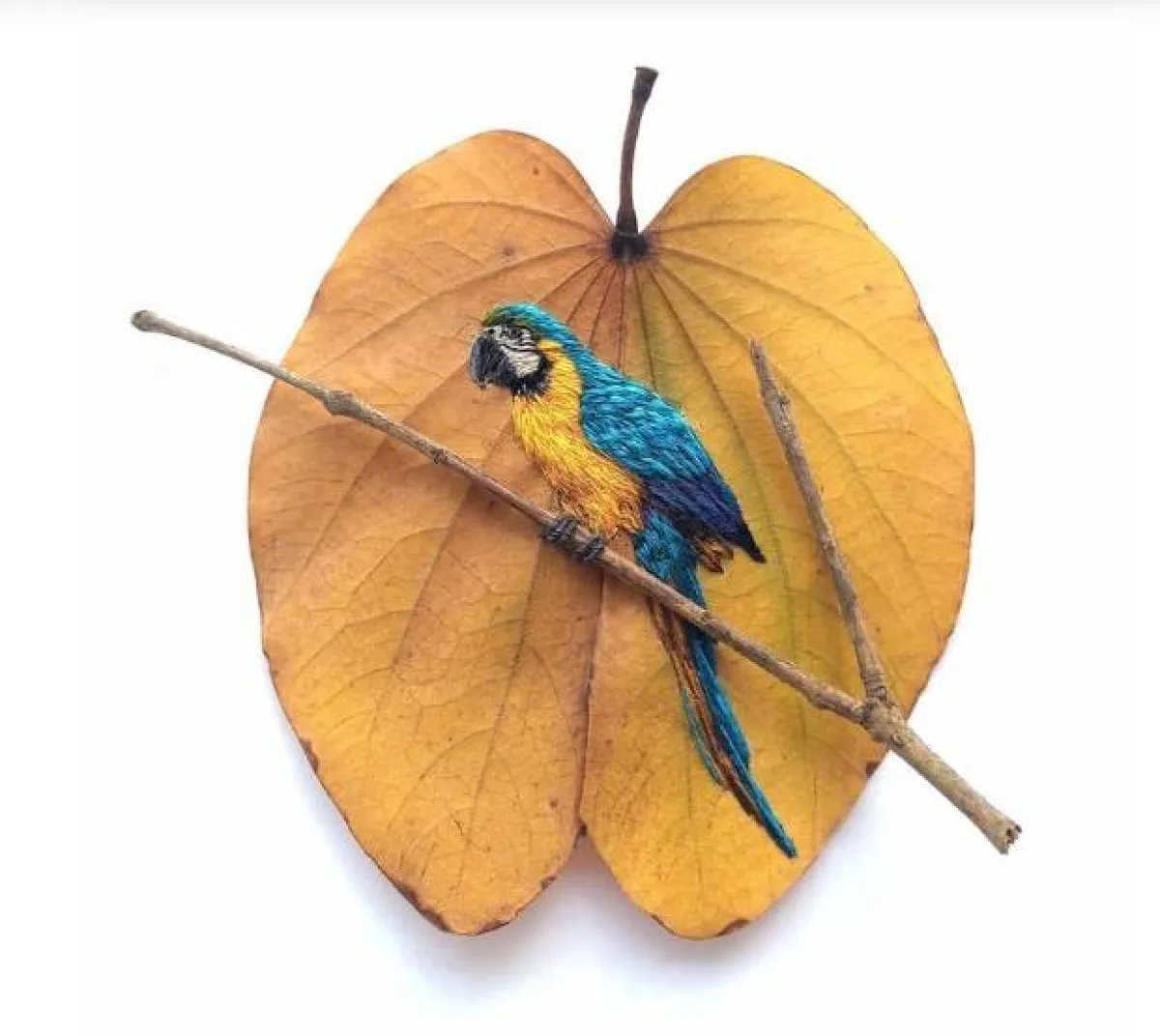 من الصفحة الرسمية للورا دالا فيكيا Laura Dalla Vecchia عبر الانستغرام 