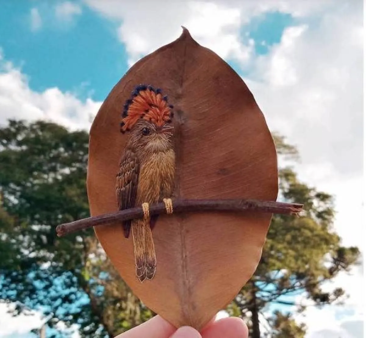 من الصفحة الرسمية للورا دالا فيكيا Laura Dalla Vecchia عبر الانستغرام 