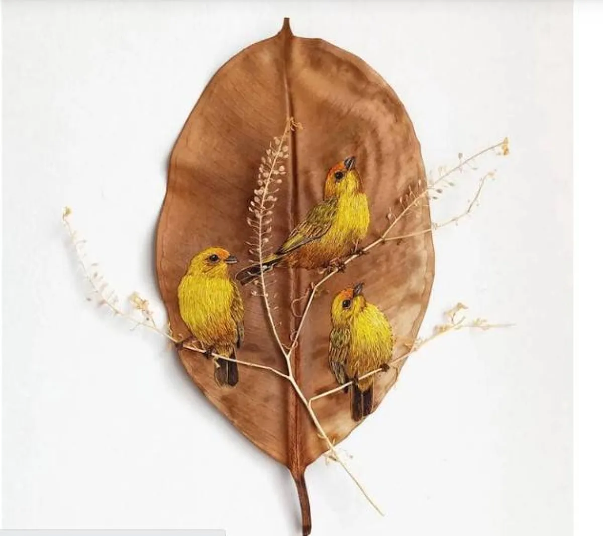 من الصفحة الرسمية للورا دالا فيكيا Laura Dalla Vecchia عبر الانستغرام 