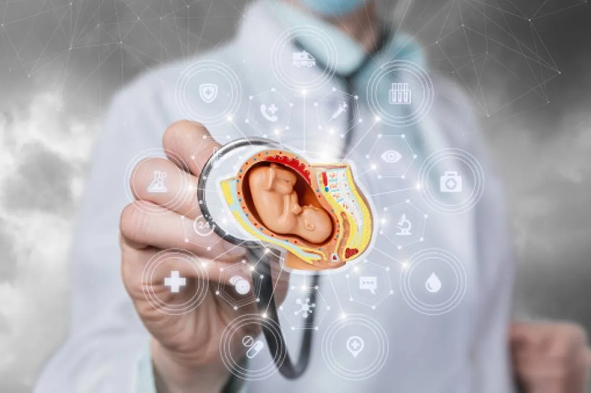 صورة تعبر عن عالم متكامل في الرحم