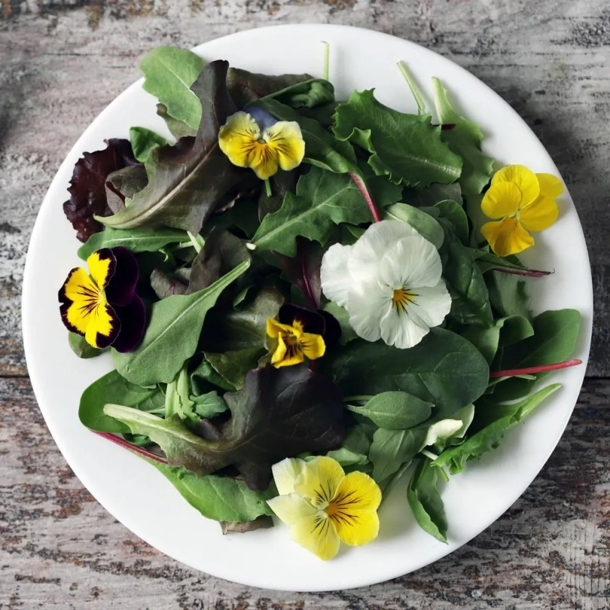 صورة لطبق السلاطة عليه جرجير