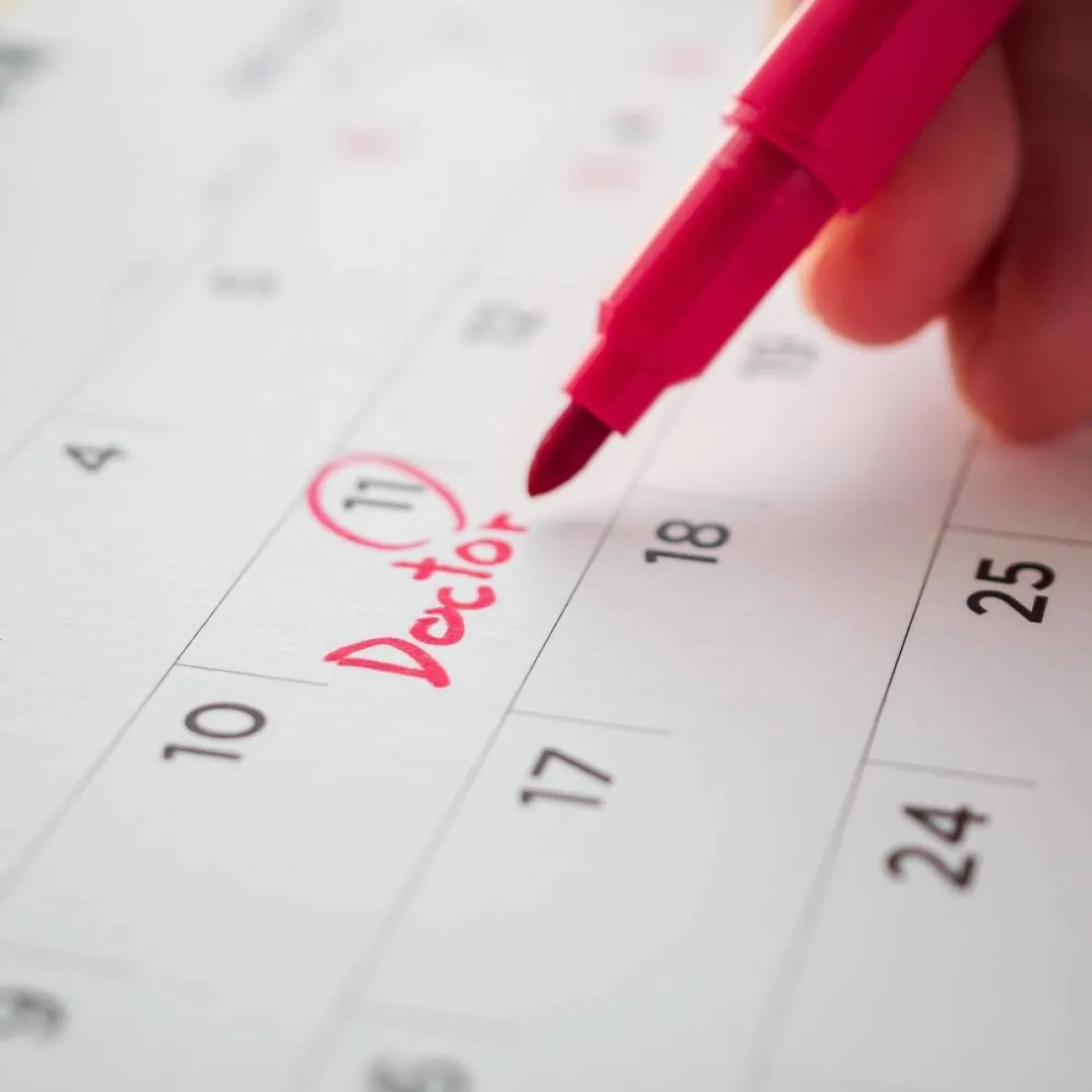 صورة تشير لوقت الخصوبة وموعد الدورة