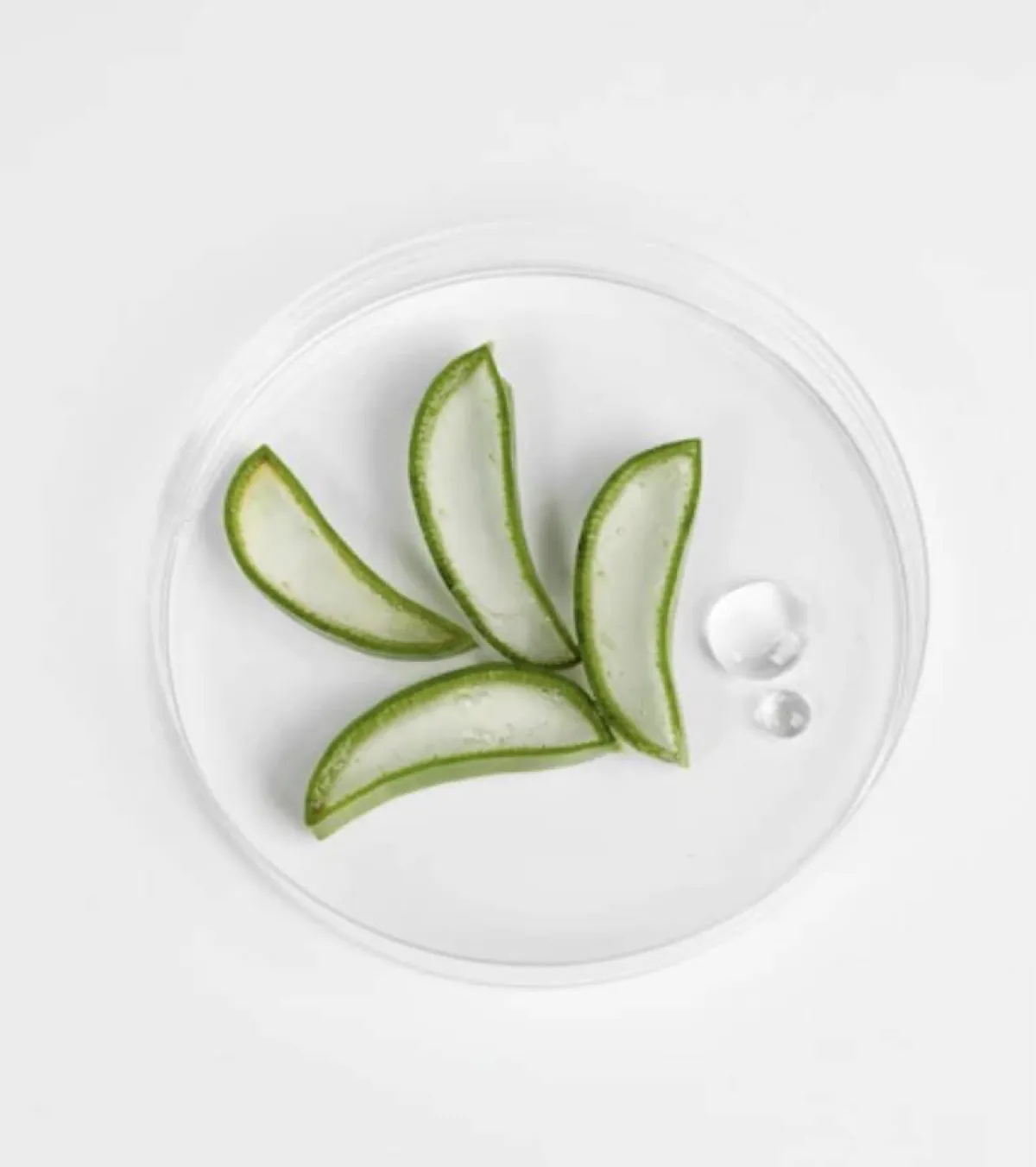 طريقة الاستفادة من جل الصبار