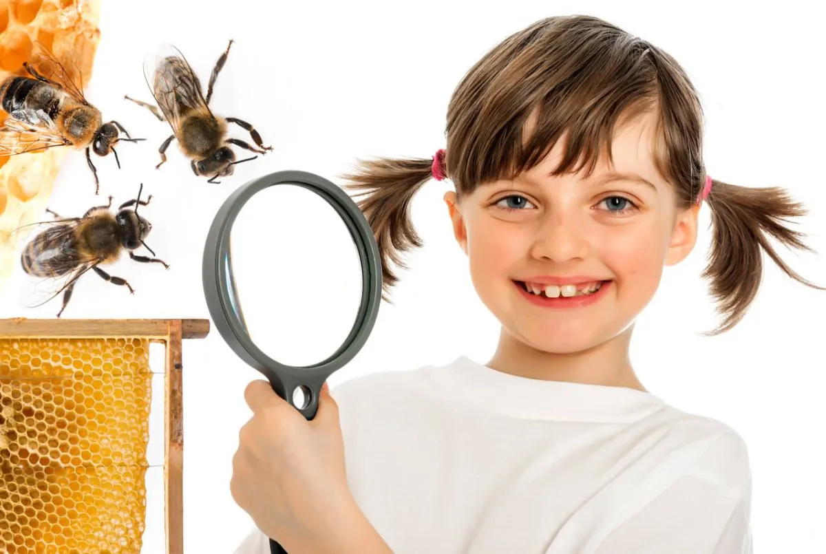 صورة لطفلة تتعرف على علم النحل