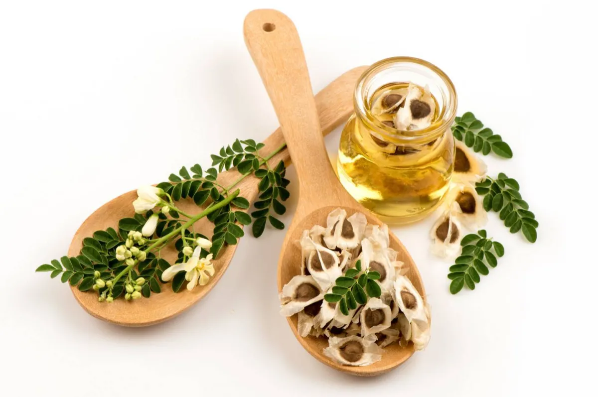  زيت المورينغا  Moringa Oil