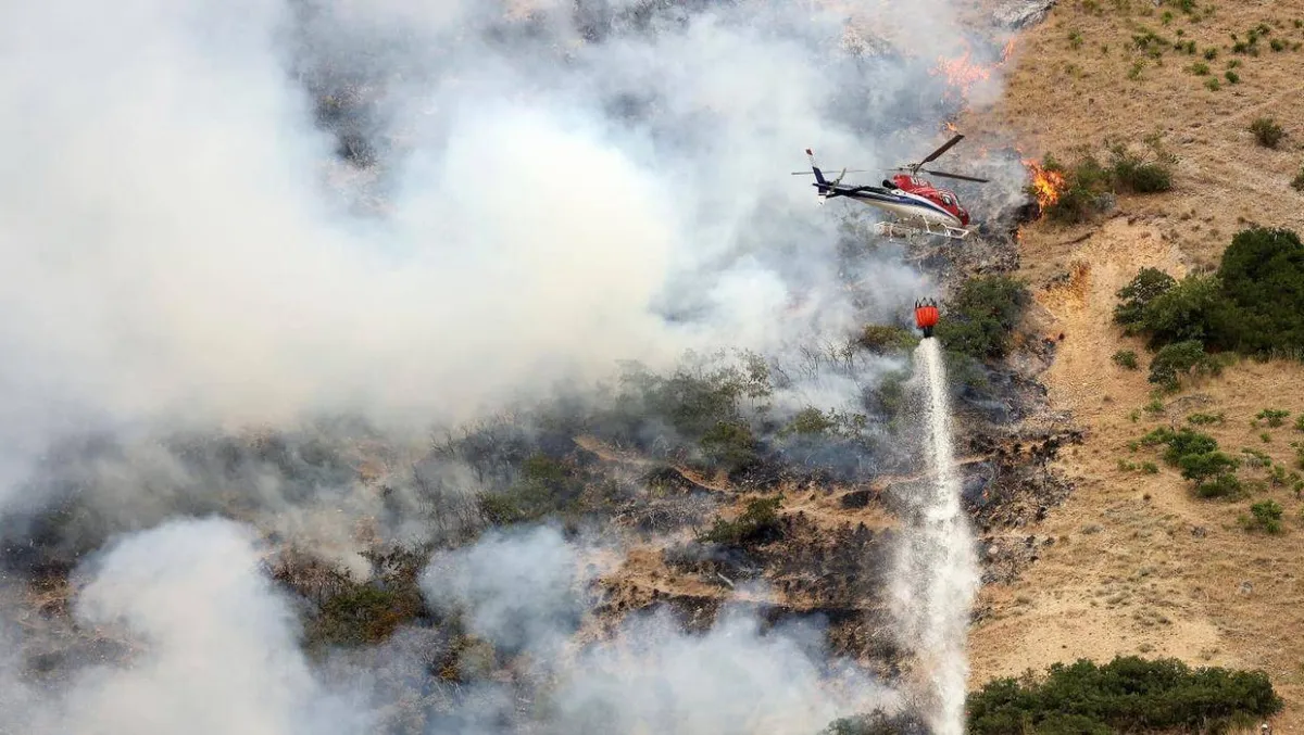 أمريكي حاول قتل عنكبوت فأحرق غابة