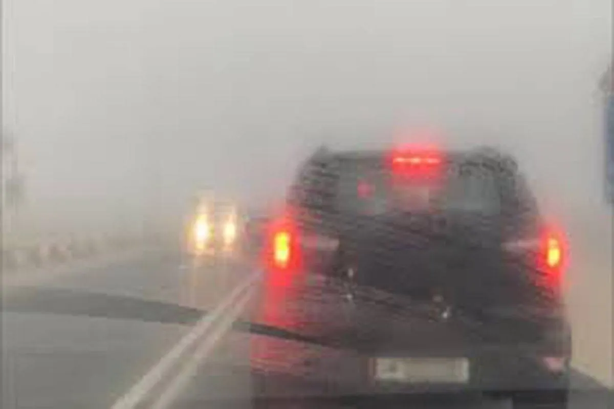 نصائح عند القيادة وسط ضباب كثيف