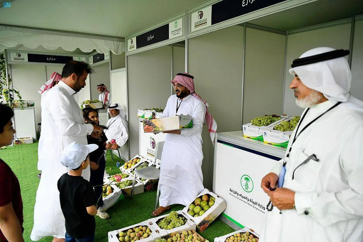 مهرجان العنب والفواكه 