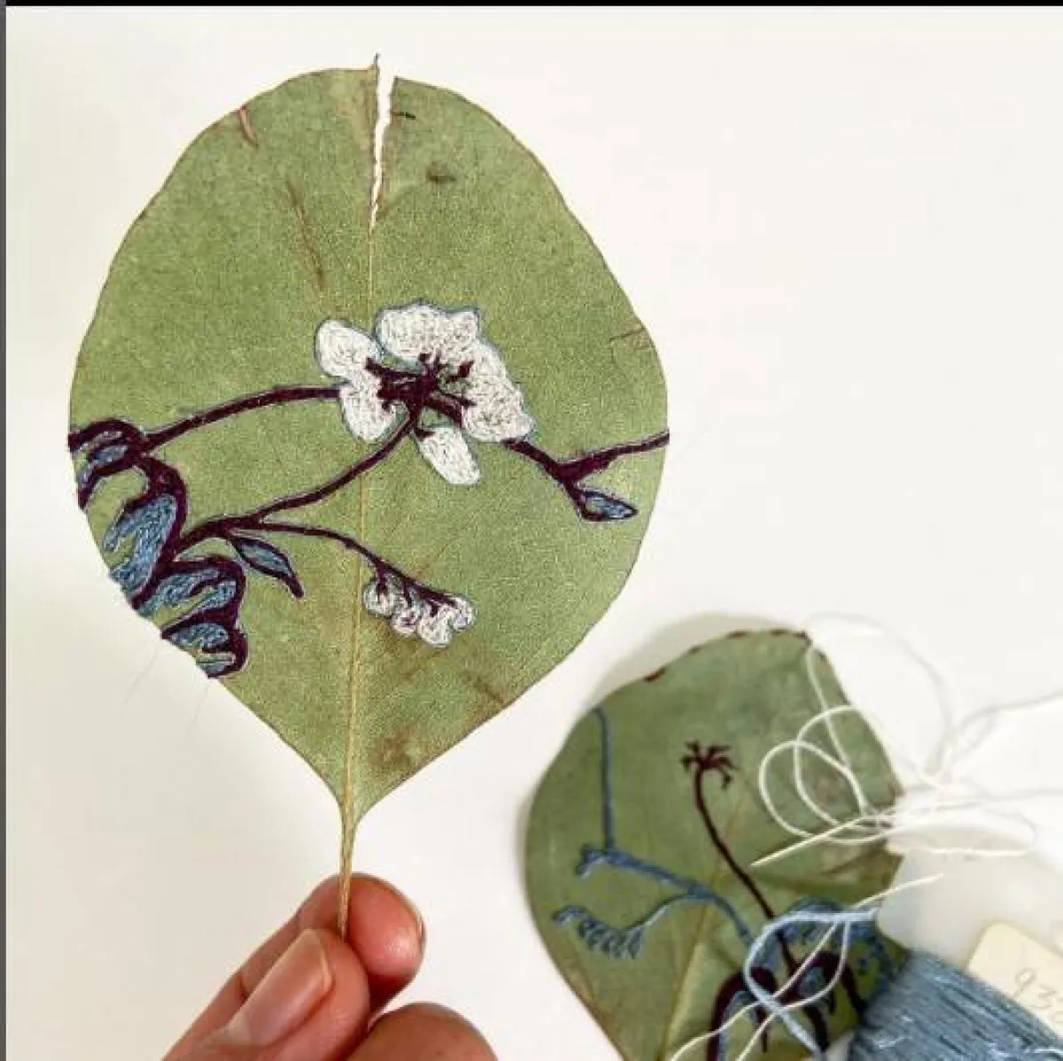 التطريز البيئي