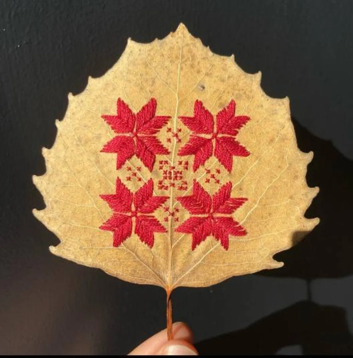 التطريز البيئي