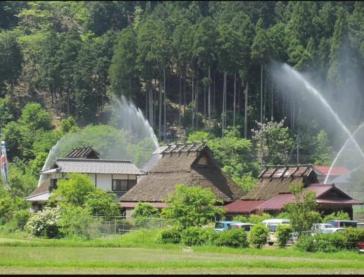 مهرجانُ خراطيمِ المياه.