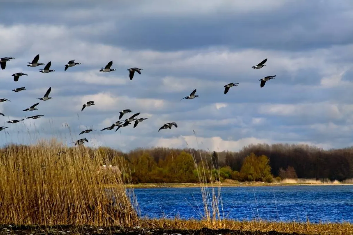 حديقة ماتسالو الوطنية