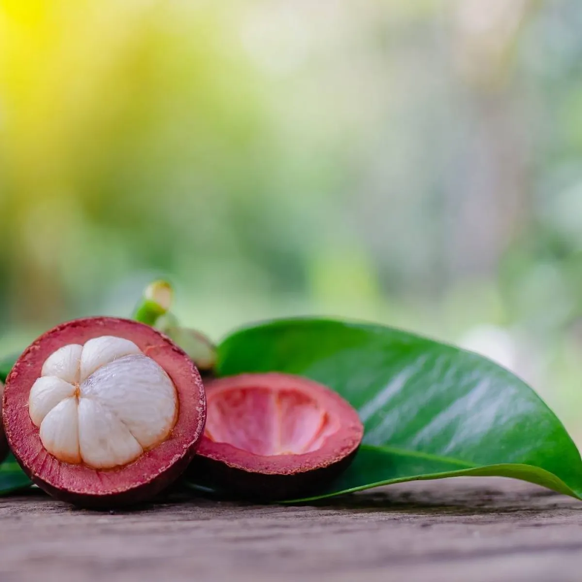 صورة لفاكهة المانجوستين