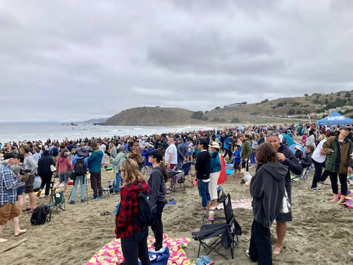 مشاهد طريفة من بطولة العالم لركوب الأمواج للكلاب