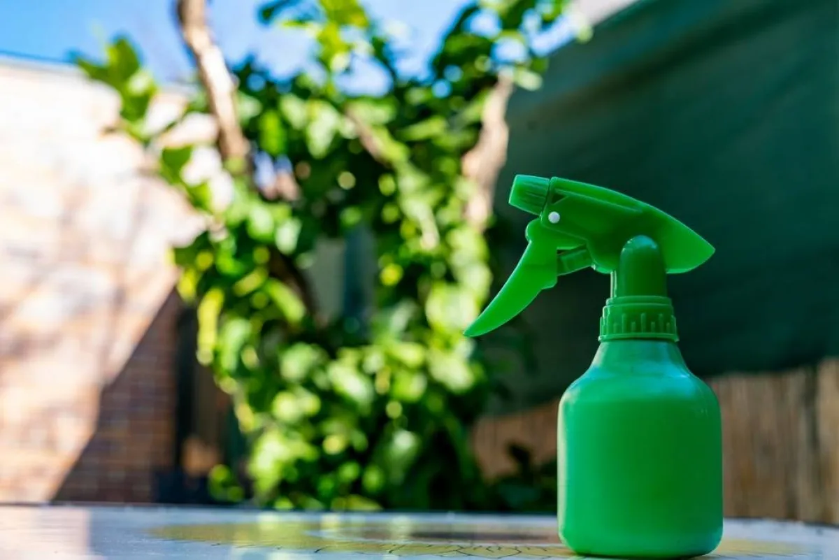 طرق ناجحة في طرد البعوض من الحديقة