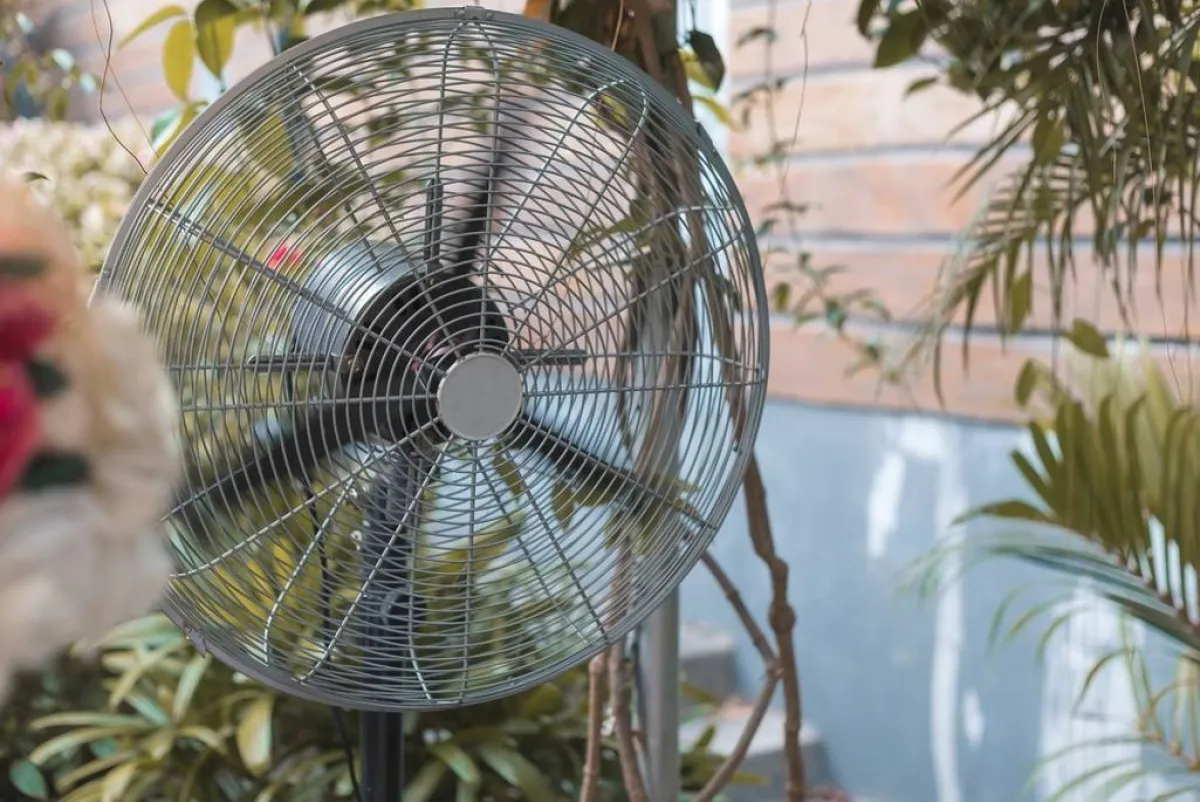 المروحة الكهربائيّة في الحديقة