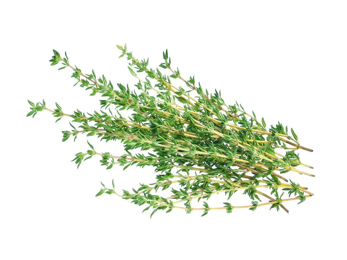 يحتوي الزعتر على حمض الروزمارينيك الذي يساعد على خفض ضغط الدم المرتفع