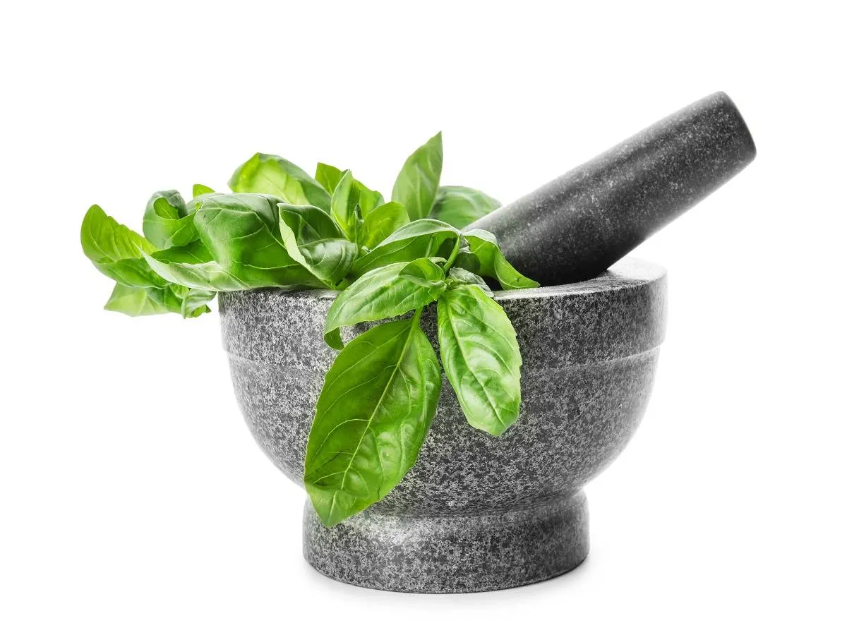 يحتوي الريحان على الأوجينول الذي يساعد في تقليل ضغط الدم 