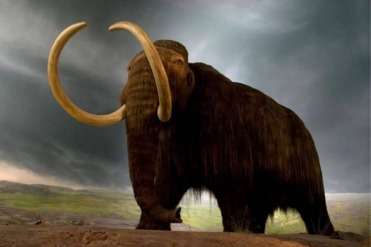 حيوان الماموث