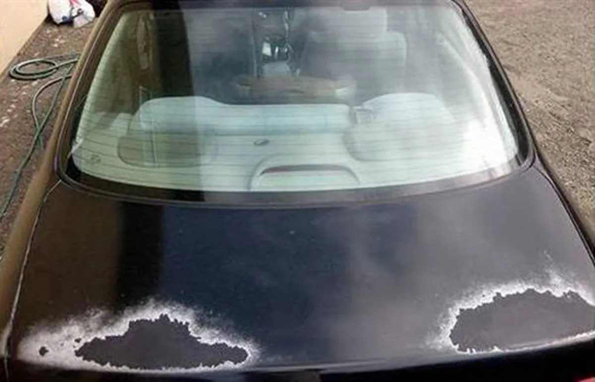 طرق للحفاظ على طلاء السيارة