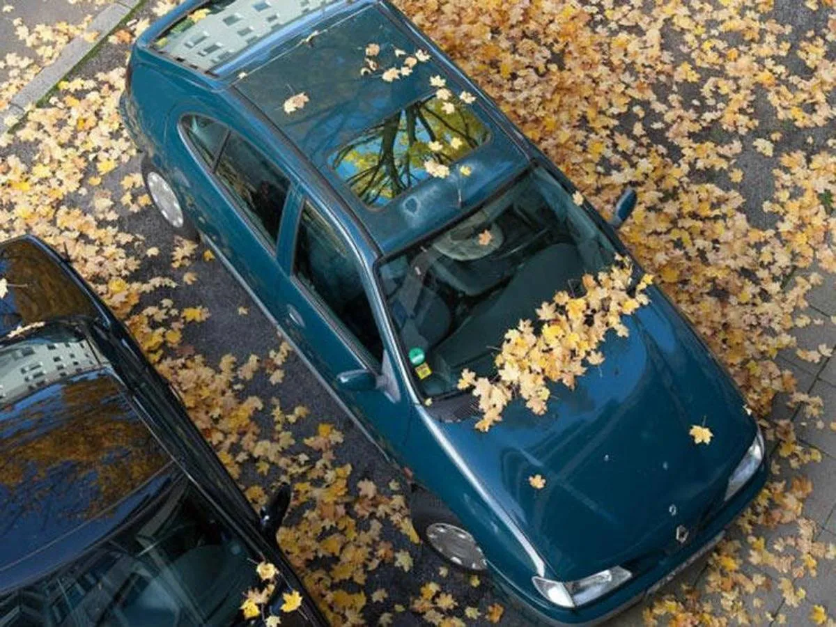 طرق للحفاظ على طلاء السيارة