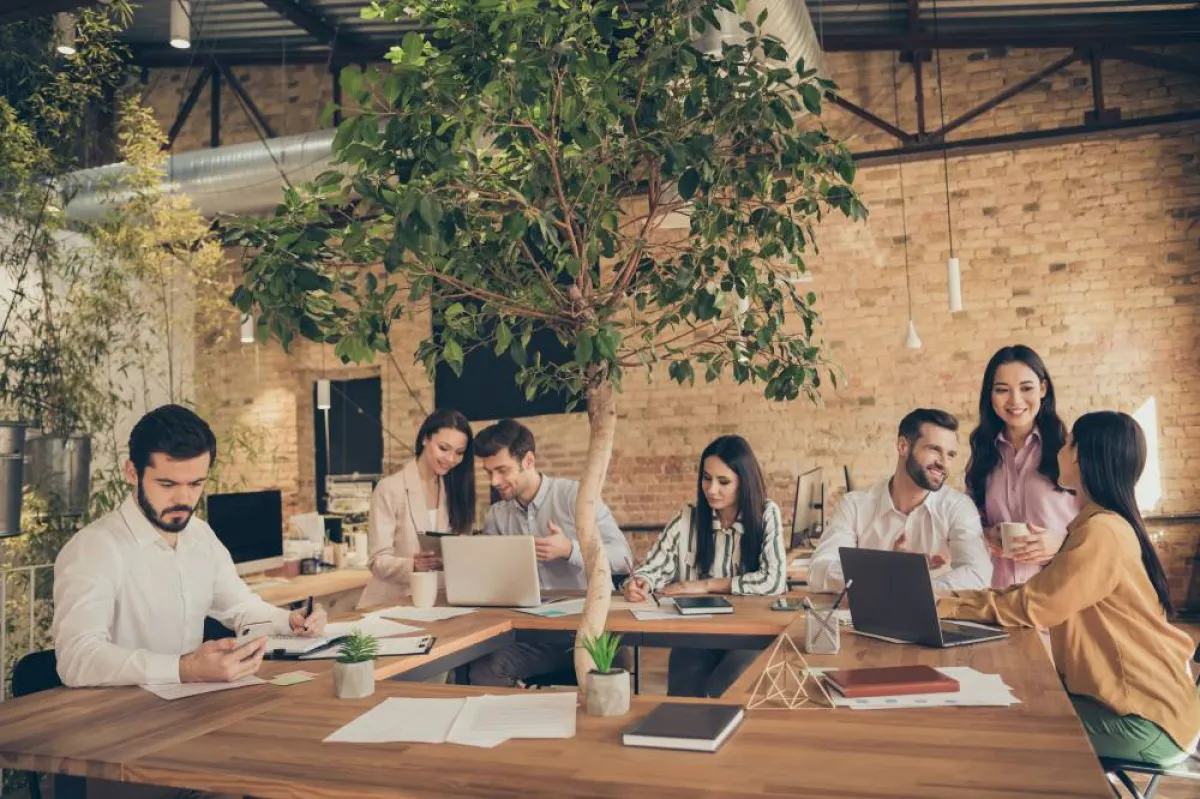 الجوّ المريح أساس في نجاح أي عمل جماعي