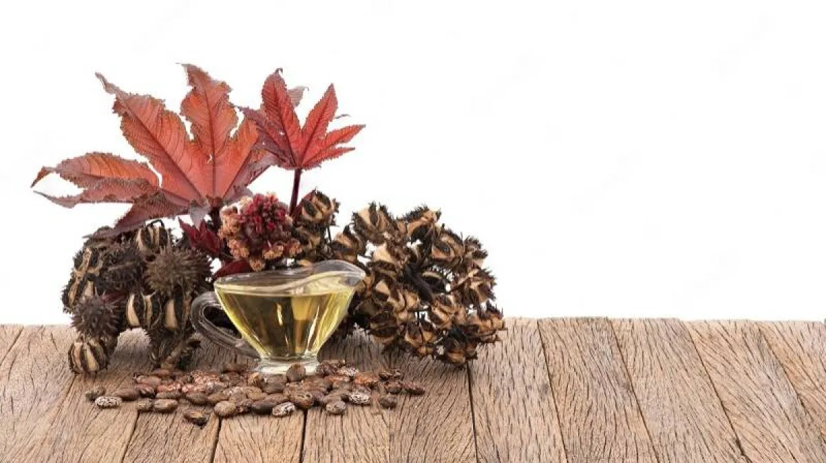 زيوت طبيعية للشعر