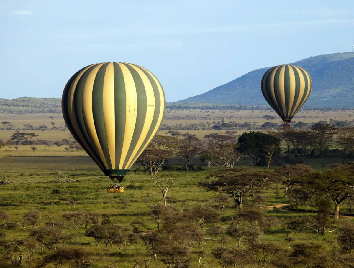 المنطاد الهوائي نشاط ممتع في متنزه «سيرينجيتي» الوطني 