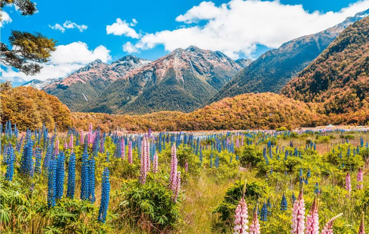 لقطة لإحدى الصور الطبيعية الأخاذة في حديقة «فيوردلاند» الوطنية 