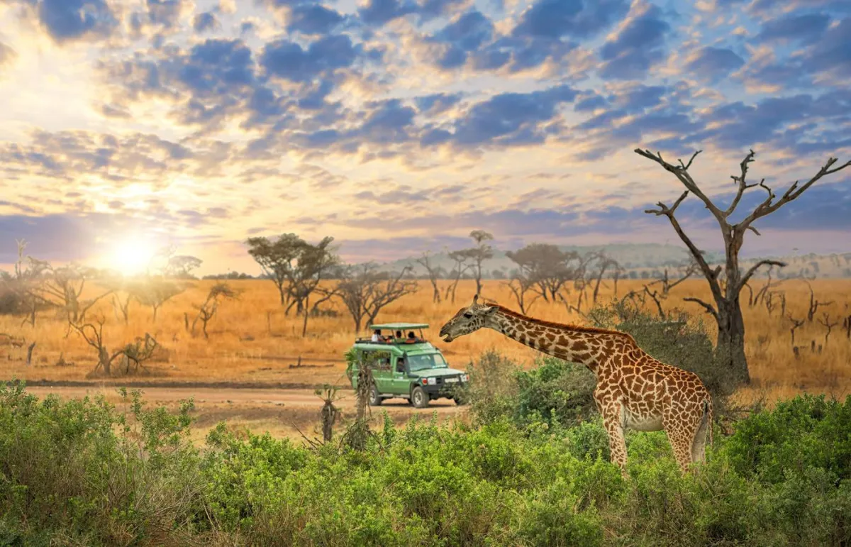 3 محميات طبيعية لعشاق المغامرات