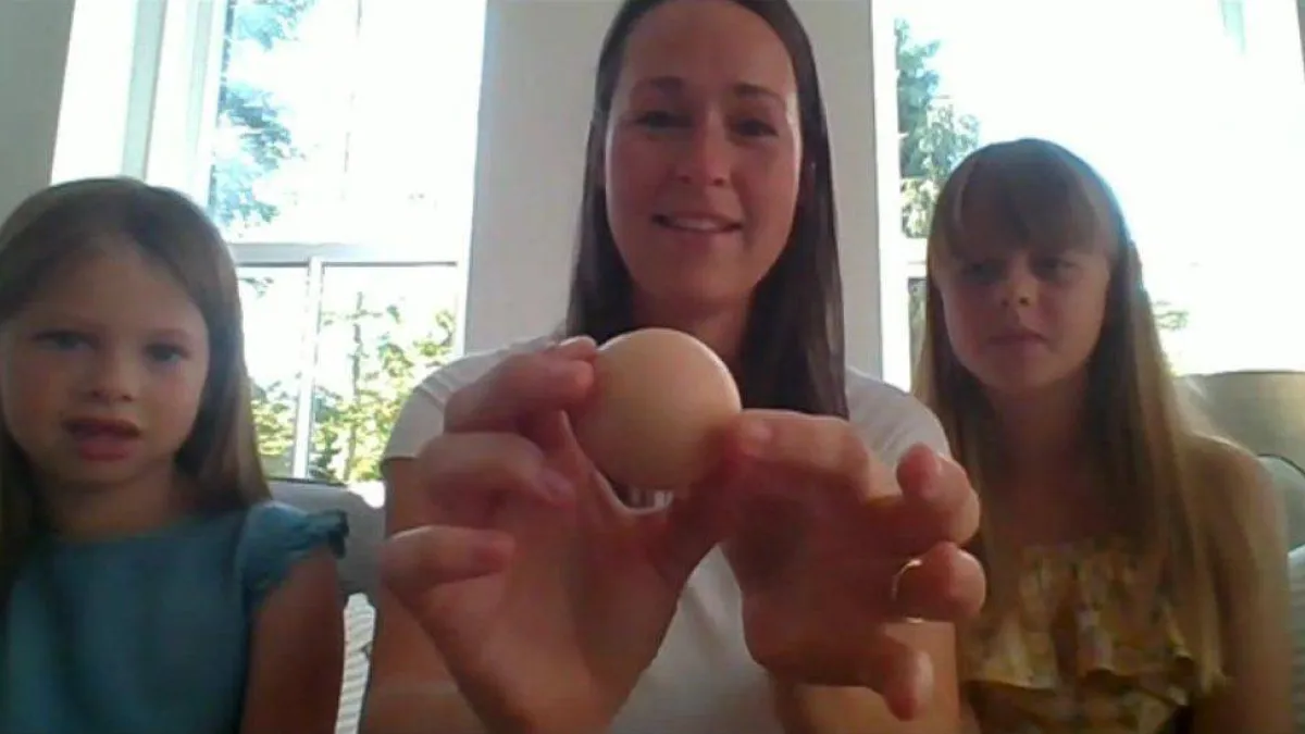 بيضة مستديرة