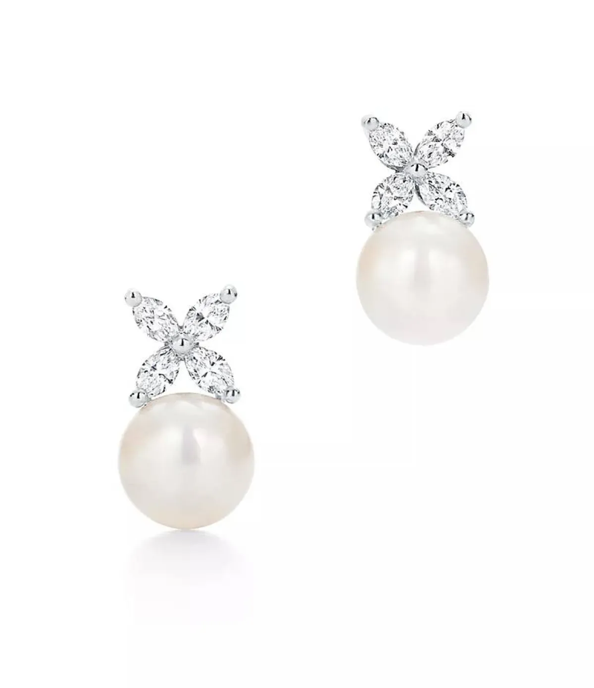 اقراط اللؤلؤ من تيفاني اند كو tiffany & co