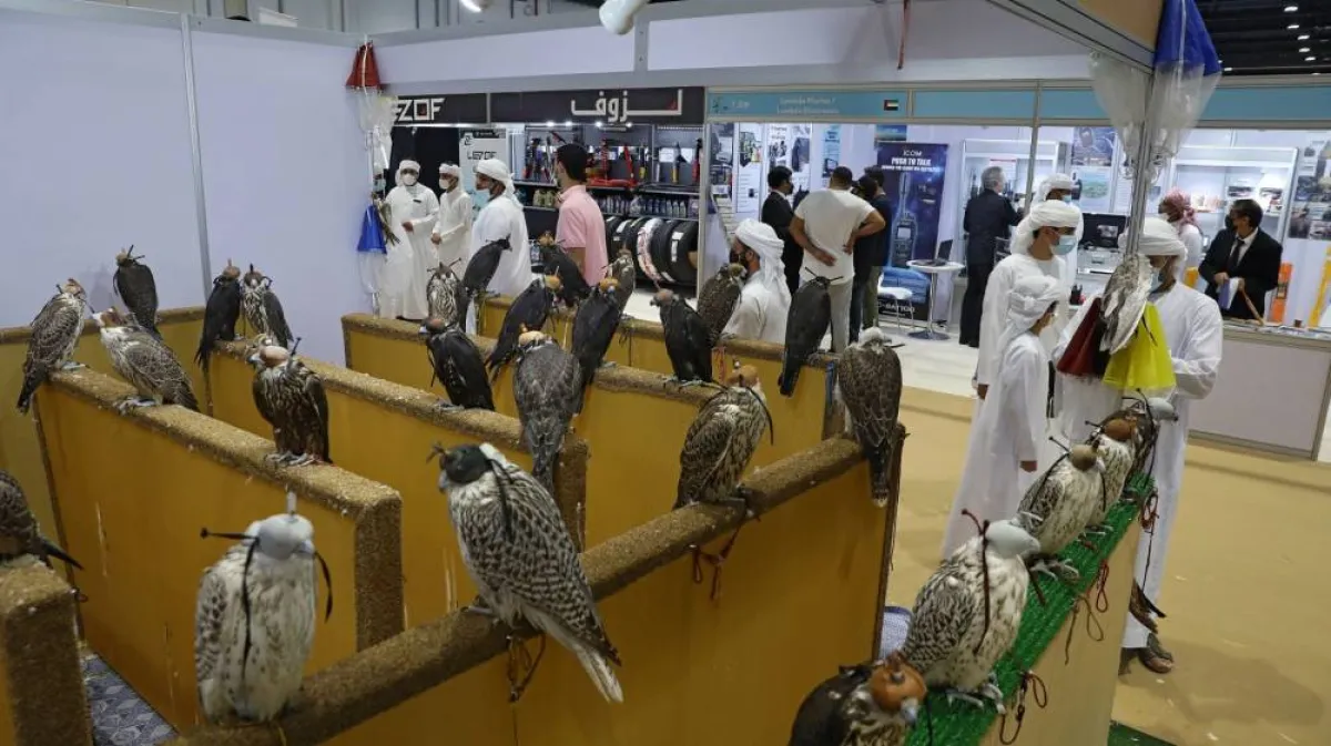 بدء موسم المقناص. الصورة من "وام"