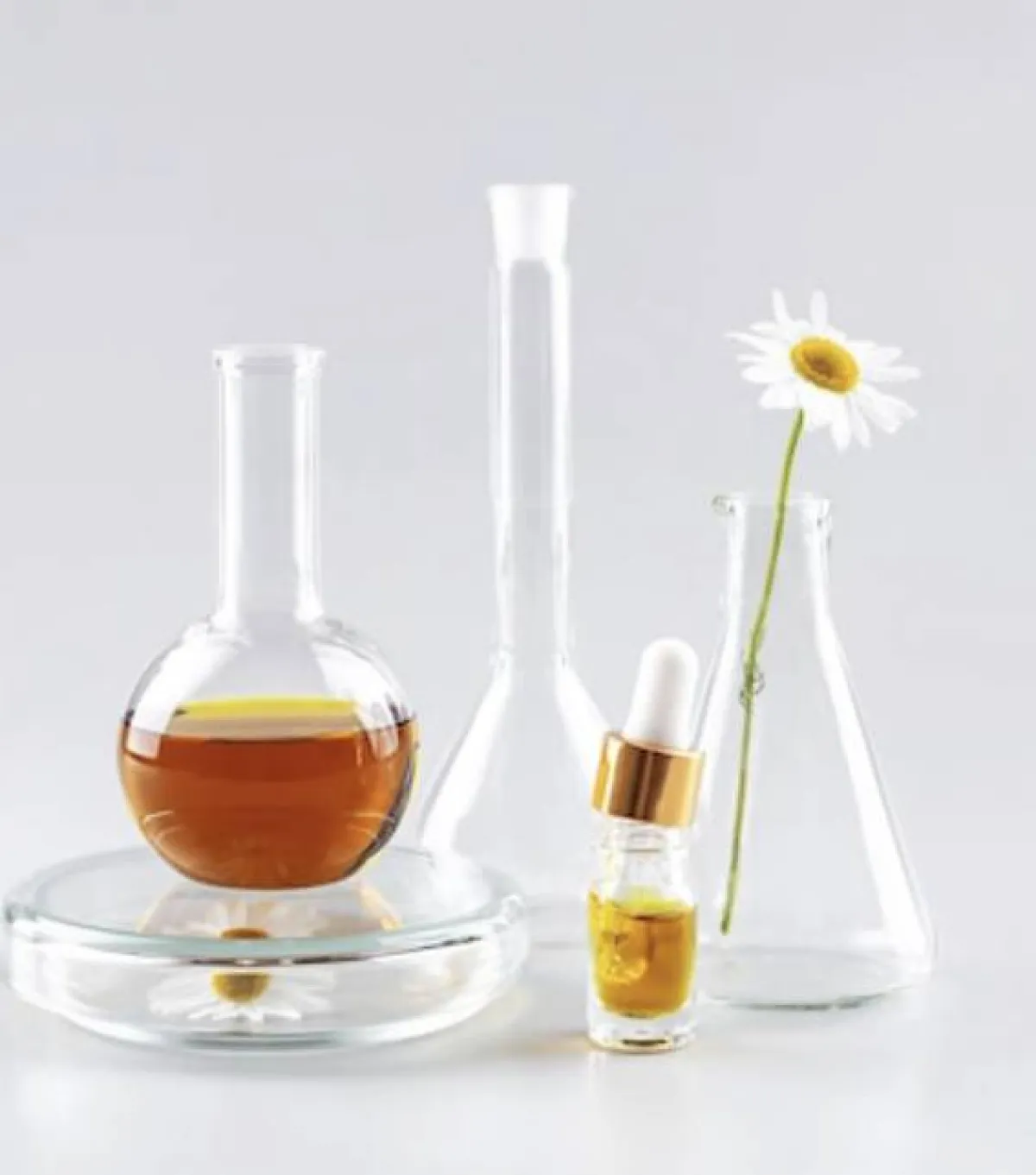 اعشاب لعلاج التعرق الزائد في الوجه