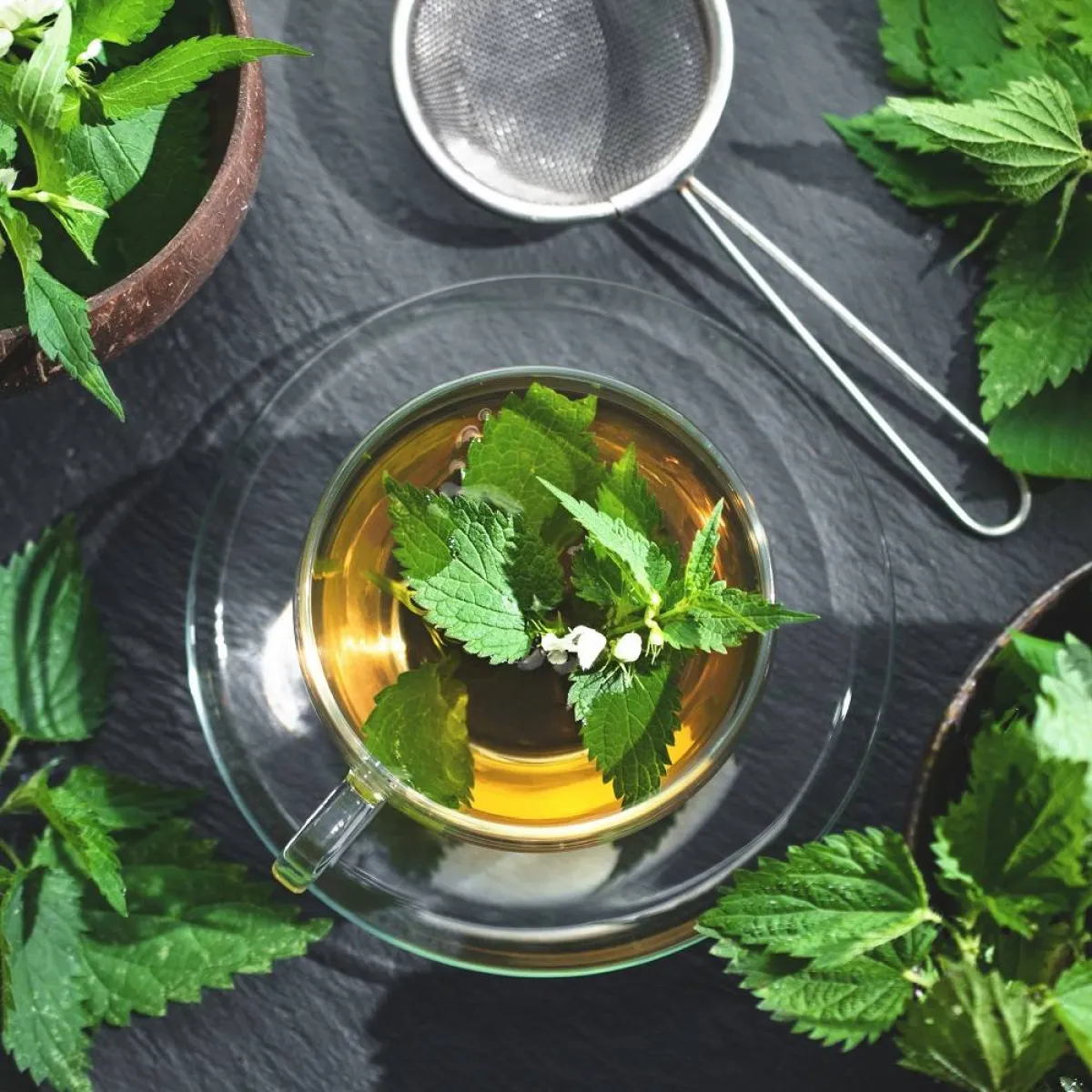 صورة لفنجان من شاي نبات القراص